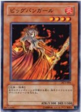 This is an image for the product Fire Princess that has a rarity of Common in the World Ranking Promos: Series 3 with a card code of PC3-004 that is available on the TEKKX Product website.