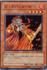 This is an image for the product Fire Princess that has a rarity of Common in the World Ranking Promos: Series 3 with a card code of PC3-004 that is available on the TEKKX Product website.