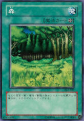 This is an image for the product Forest that has a rarity of Common in the Duelist Legacy Volume.2 with a card code of DL2-027 that is available on the TEKKX Product website.