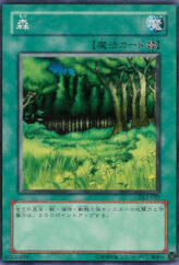 This is an image for the product Forest that has a rarity of Common in the Duelist Legacy Volume.2 with a card code of DL2-027 that is available on the TEKKX Product website.