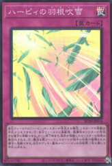 This is an image for the product Harpie's Feather Storm that has a rarity of Super Rare in the Rarity Collection Quarter Century Edition with a card code of RC04-JP074 that is available on the TEKKX Product website.