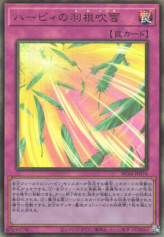 This is an image for the product Harpie's Feather Storm that has a rarity of Ultimate Rare in the Rarity Collection Quarter Century Edition with a card code of RC04-JP074 that is available on the TEKKX Product website.