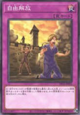 This is an image for the product Liberty at Last! that has a rarity of Common in the Duelist Pack: Duelists of Whirlwind with a card code of DP25-JP033 that is available on the TEKKX Product website.