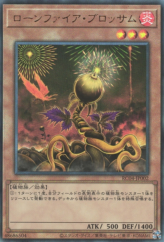 This is an image for the product Lonefire Blossom that has a rarity of Ultimate Rare in the Rarity Collection Quarter Century Edition with a card code of RC04-JP002 that is available on the TEKKX Product website.