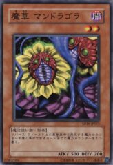 This is an image for the product Magical Plant Mandragola that has a rarity of Common in the Structure Deck: Lord of the Magician with a card code of SD16-JP015 that is available on the TEKKX Product website.