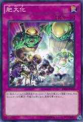 This is an image for the product Massivemorph that has a rarity of Normal Rare in the Raging Tempest with a card code of RATE-JP080 that is available on the TEKKX Product website.