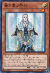 This is an image for the product Master with Eyes of Blue that has a rarity of Common in the Shining Victories with a card code of SHVI-JP021 that is available on the TEKKX Product website.