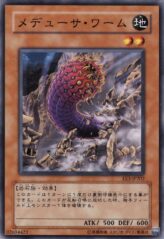 This is an image for the product Medusa Worm that has a rarity of Common in the Expert Edition Volume 3 with a card code of EE3-JP202 that is available on the TEKKX Product website.