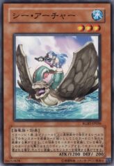 This is an image for the product Mermaid Archer that has a rarity of Common in the Raging Battle with a card code of RGBT-JP036 that is available on the TEKKX Product website.