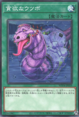 This is an image for the product Moray of Avarice that has a rarity of Common in the World Premiere Pack 2023 with a card code of WPP4-JP059 that is available on the TEKKX Product website.