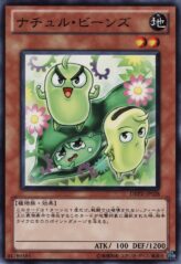 This is an image for the product Naturia Beans that has a rarity of Common in the Duelist Revolution with a card code of DREV-JP028 that is available on the TEKKX Product website.