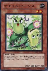 This is an image for the product Naturia Beans that has a rarity of Common in the Duelist Revolution with a card code of DREV-JP028 that is available on the TEKKX Product website.