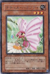 This is an image for the product Naturia Butterfly that has a rarity of Duel Terminal Rare Parallel Rare in the Duel Terminal - Charge of the Genex!! with a card code of DT07-JP029 that is available on the TEKKX Product website.