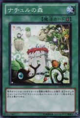 This is an image for the product Naturia Forest that has a rarity of Common in the Duelist Revolution with a card code of DREV-JP051 that is available on the TEKKX Product website.