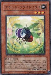 This is an image for the product Naturia Fruitfly that has a rarity of Duel Terminal Normal Parallel Rare in the Duel Terminal - Dragunity of the Hurricane!! with a card code of DT06-JP021 that is available on the TEKKX Product website.