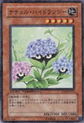 This is an image for the product Naturia Hydrangea that has a rarity of Duel Terminal Normal Parallel Rare in the Duel Terminal - Dragunity of the Hurricane!! with a card code of DT06-JP022 that is available on the TEKKX Product website.