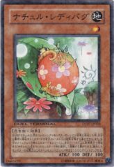 This is an image for the product Naturia Ladybug that has a rarity of Duel Terminal Normal Parallel Rare in the Duel Terminal - Charge of the Genex!! with a card code of DT07-JP030 that is available on the TEKKX Product website.