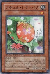 This is an image for the product Naturia Ladybug that has a rarity of Duel Terminal Normal Parallel Rare in the Duel Terminal - Charge of the Genex!! with a card code of DT07-JP030 that is available on the TEKKX Product website.