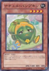 This is an image for the product Naturia Pumpkin that has a rarity of Common in the Starstrike Blast with a card code of STBL-JP031 that is available on the TEKKX Product website.