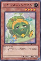 This is an image for the product Naturia Pumpkin that has a rarity of Common in the Starstrike Blast with a card code of STBL-JP031 that is available on the TEKKX Product website.