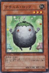 This is an image for the product Naturia Rock that has a rarity of Duel Terminal Normal Parallel Rare in the Duel Terminal - Justice Strikes Back!! with a card code of DT03-JP008 that is available on the TEKKX Product website.