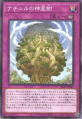 This is an image for the product Naturia Sacred Tree that has a rarity of Common in the Structure Deck: Forest of the Traptrix with a card code of SD45-JP037 that is available on the TEKKX Product website.