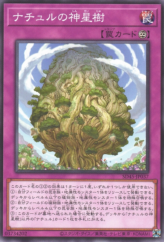 This is an image for the product Naturia Sacred Tree that has a rarity of Common in the Structure Deck: Forest of the Traptrix with a card code of SD45-JP037 that is available on the TEKKX Product website.