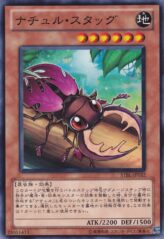 This is an image for the product Naturia Stag Beetle that has a rarity of Common in the Starstrike Blast with a card code of STBL-JP032 that is available on the TEKKX Product website.