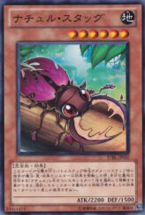 This is an image for the product Naturia Stag Beetle that has a rarity of Common in the Starstrike Blast with a card code of STBL-JP032 that is available on the TEKKX Product website.