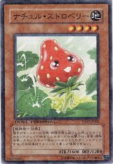 This is an image for the product Naturia Strawberry that has a rarity of Duel Terminal Normal Parallel Rare in the Duel Terminal - Charge of the Genex!! with a card code of DT07-JP031 that is available on the TEKKX Product website.