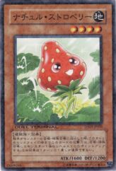 This is an image for the product Naturia Strawberry that has a rarity of Duel Terminal Normal Parallel Rare in the Duel Terminal - Charge of the Genex!! with a card code of DT07-JP031 that is available on the TEKKX Product website.