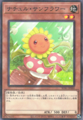 This is an image for the product Naturia Sunflower that has a rarity of Normal Parallel Rare in the Secret Utility Box with a card code of SUB1-JP060 that is available on the TEKKX Product website.