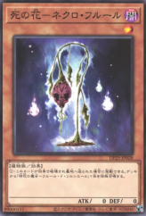 This is an image for the product Necro Fleur that has a rarity of Common in the Duelist Pack: Duelists of Whirlwind with a card code of DP25-JP028 that is available on the TEKKX Product website.