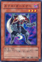 This is an image for the product Necro Gardna that has a rarity of Common in the Duelist Pack: Jaden Yuki 3 with a card code of DP06-JP005 that is available on the TEKKX Product website.