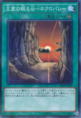 This is an image for the product Necrovalley that has a rarity of Normal Parallel Rare in the 20th Anniversary Pack 1st Wave with a card code of 20AP-JP022 that is available on the TEKKX Product website.