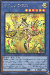 This is an image for the product Ohime the Manifested Mikanko that has a rarity of Secret Rare in the Deck Build Pack: Amazing Defenders with a card code of DBAD-JP027 that is available on the TEKKX Product website.