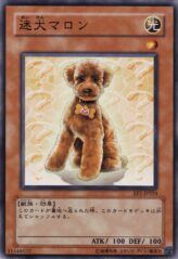 This is an image for the product Outstanding Dog Marron that has a rarity of Common in the Expert Edition Volume.1 with a card code of EE1-JP224 that is available on the TEKKX Product website.