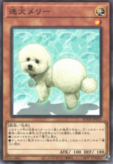 This is an image for the product Outstanding Dog Mary that has a rarity of Normal Rare in the Burst of Destiny with a card code of BODE-JP035 that is available on the TEKKX Product website.