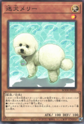 This is an image for the product Outstanding Dog Mary that has a rarity of Normal Rare in the Burst of Destiny with a card code of BODE-JP035 that is available on the TEKKX Product website.