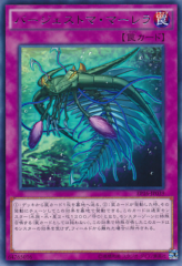 This is an image for the product Paleozoic Marrella that has a rarity of Rare in the Extra Pack 2016 with a card code of EP16-JP039 that is available on the TEKKX Product website.