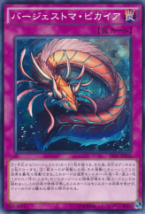 This is an image for the product Paleozoic Pikaia that has a rarity of Common in the Extra Pack 2016 with a card code of EP16-JP036 that is available on the TEKKX Product website.