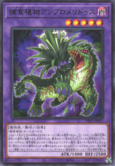 This is an image for the product Predaplant Ambulomelides that has a rarity of Rare in the Dimension Force with a card code of DIFO-JP037 that is available on the TEKKX Product website.