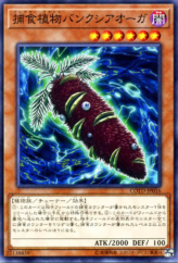 This is an image for the product Predaplant Banksiogre that has a rarity of Common in the Code of the Duelist with a card code of COTD-JP016 that is available on the TEKKX Product website.