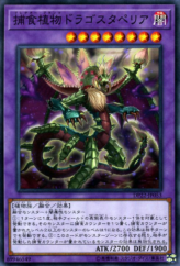 This is an image for the product Predaplant Dragostapelia that has a rarity of Common in the Duelist Pack: Legend Duelist 5 with a card code of DP22-JP053 that is available on the TEKKX Product website.