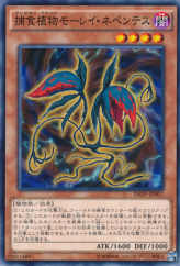 This is an image for the product Predaplant Moray Nepenthes that has a rarity of Common in the Invasion: Vengeance with a card code of INOV-JP007 that is available on the TEKKX Product website.