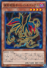 This is an image for the product Predaplant Moray Nepenthes that has a rarity of Common in the Booster SP: Fusion Enforcers with a card code of SPFE-JP007 that is available on the TEKKX Product website.