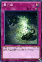 This is an image for the product Quantum Cat that has a rarity of Common in the Structure Deck: Cyberse Link with a card code of SD32-JP037 that is available on the TEKKX Product website.