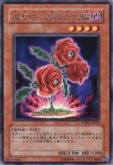 This is an image for the product Revival Rose that has a rarity of Rare in the The Shining Darkness with a card code of TSHD-JP016 that is available on the TEKKX Product website.