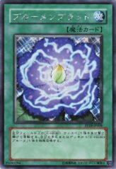 This is an image for the product Rose Bud that has a rarity of Secret Rare in the Premium Pack 10 with a card code of PP10-JP008 that is available on the TEKKX Product website.