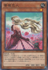 This is an image for the product Rose Lover that has a rarity of Common in the Premium Pack 17 with a card code of PP17-JP003 that is available on the TEKKX Product website.